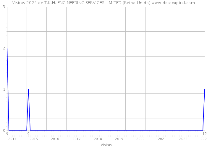 Visitas 2024 de T.K.H. ENGINEERING SERVICES LIMITED (Reino Unido) 