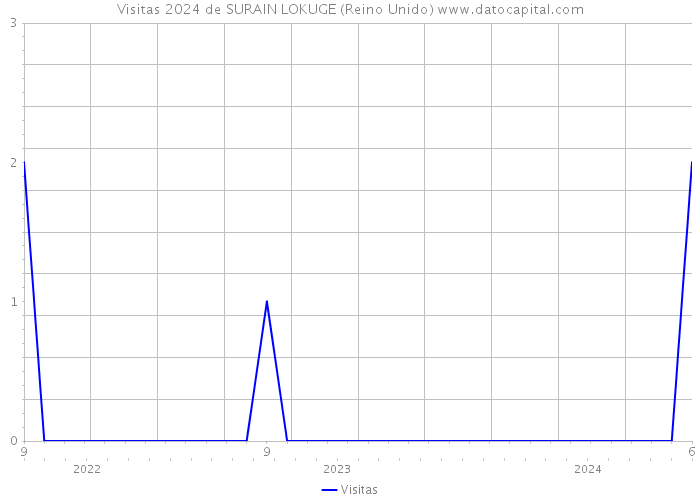 Visitas 2024 de SURAIN LOKUGE (Reino Unido) 