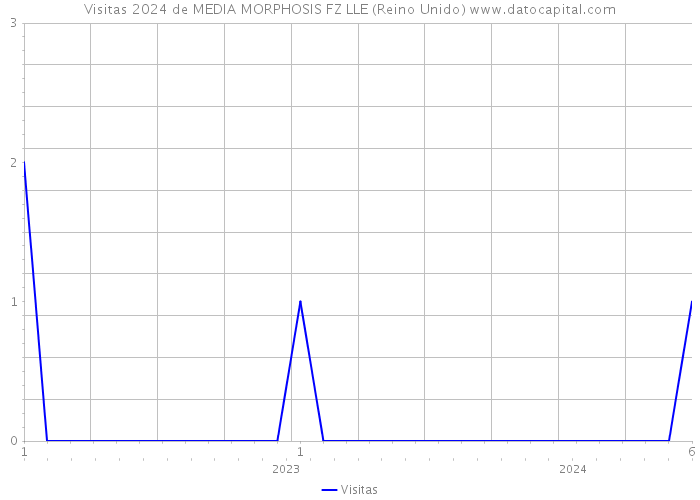 Visitas 2024 de MEDIA MORPHOSIS FZ LLE (Reino Unido) 