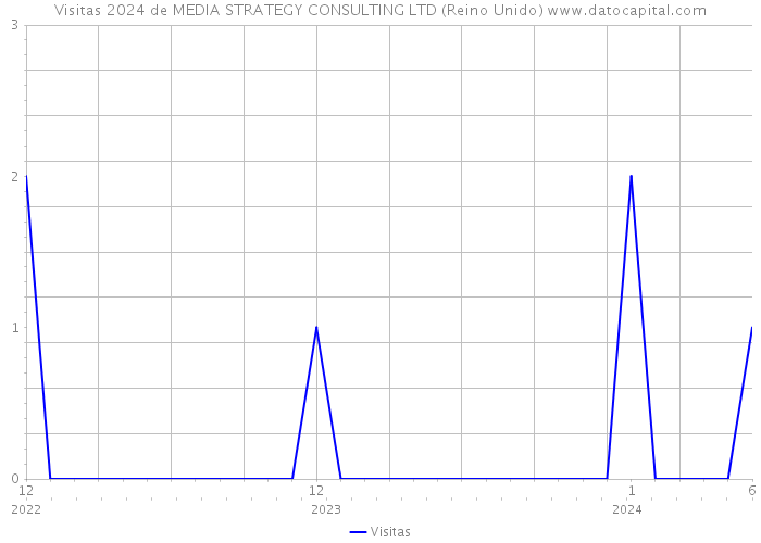 Visitas 2024 de MEDIA STRATEGY CONSULTING LTD (Reino Unido) 