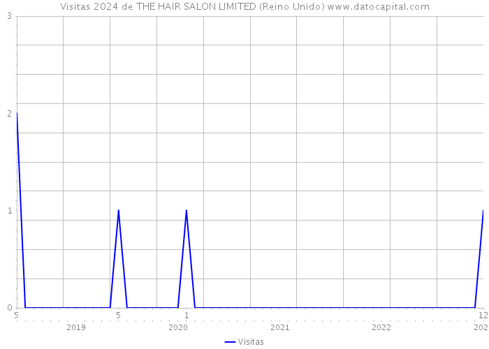 Visitas 2024 de THE HAIR SALON LIMITED (Reino Unido) 