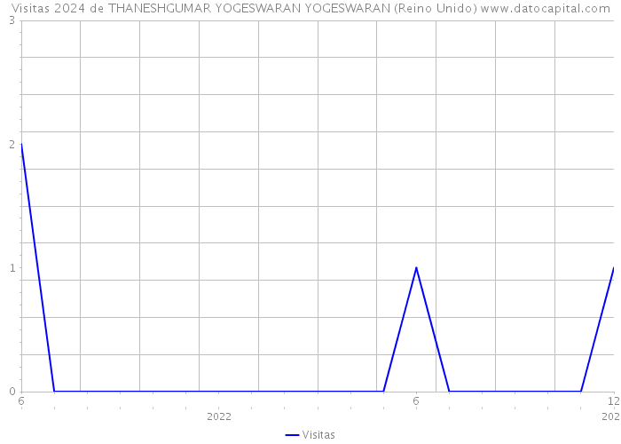 Visitas 2024 de THANESHGUMAR YOGESWARAN YOGESWARAN (Reino Unido) 