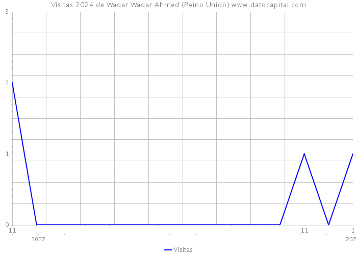 Visitas 2024 de Waqar Waqar Ahmed (Reino Unido) 