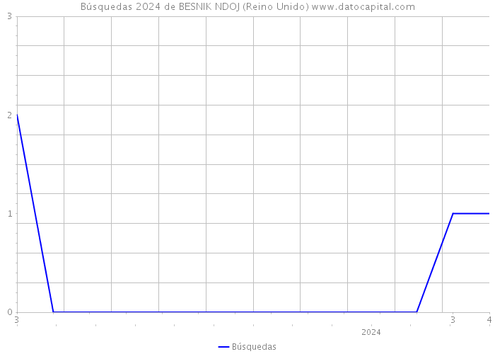 Búsquedas 2024 de BESNIK NDOJ (Reino Unido) 