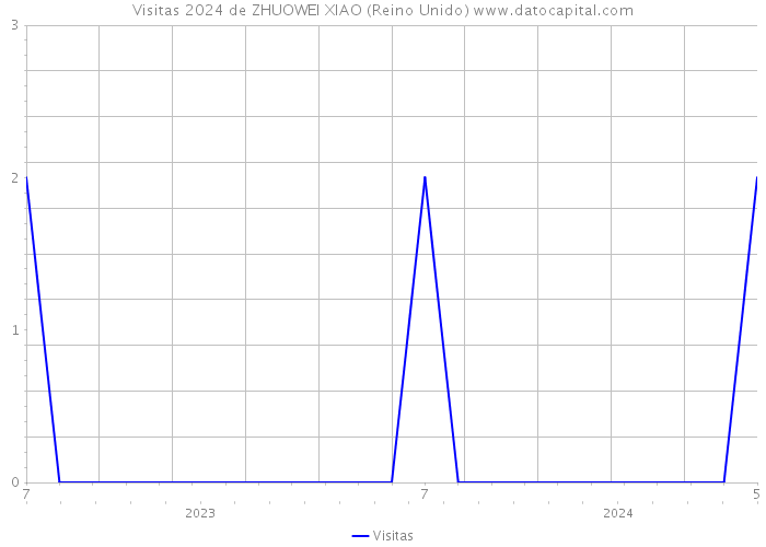 Visitas 2024 de ZHUOWEI XIAO (Reino Unido) 