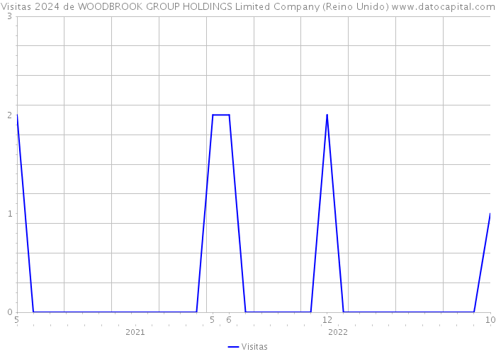 Visitas 2024 de WOODBROOK GROUP HOLDINGS Limited Company (Reino Unido) 