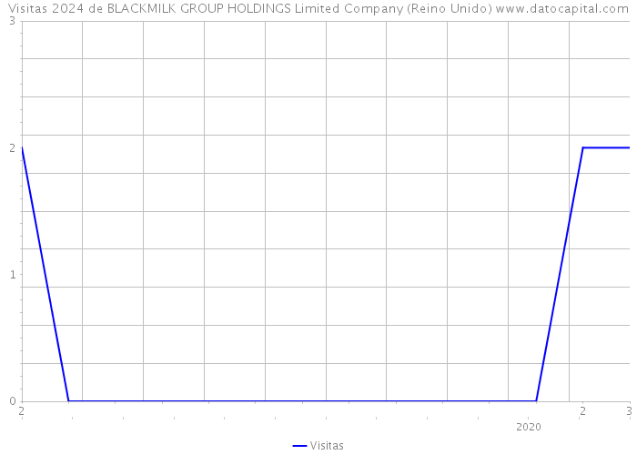 Visitas 2024 de BLACKMILK GROUP HOLDINGS Limited Company (Reino Unido) 