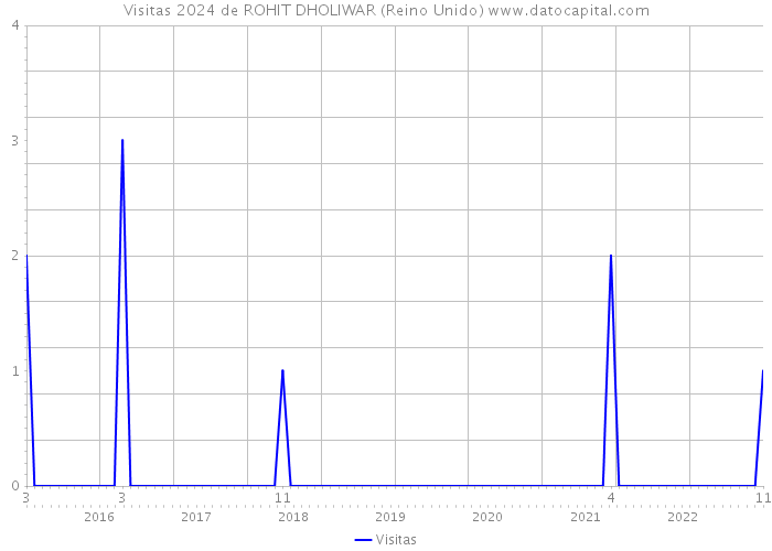 Visitas 2024 de ROHIT DHOLIWAR (Reino Unido) 