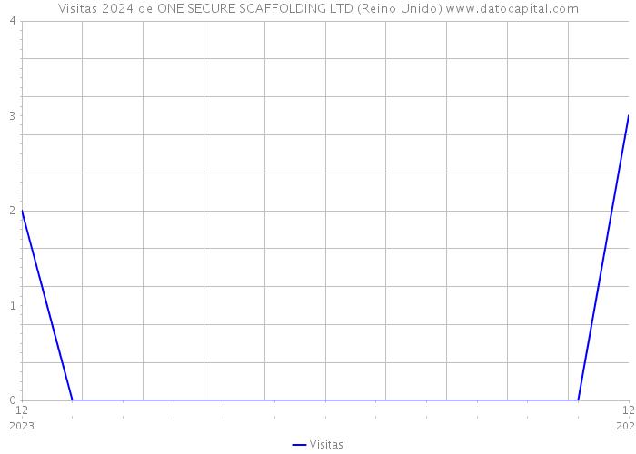 Visitas 2024 de ONE SECURE SCAFFOLDING LTD (Reino Unido) 