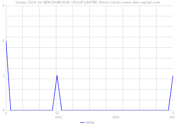 Visitas 2024 de NEW DAWN RISK GROUP LIMITED (Reino Unido) 