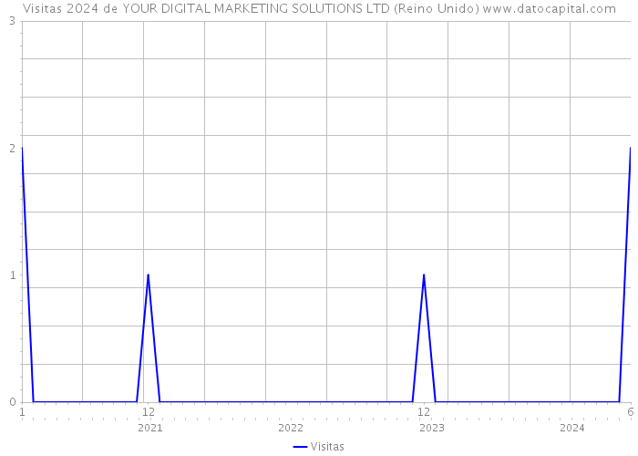 Visitas 2024 de YOUR DIGITAL MARKETING SOLUTIONS LTD (Reino Unido) 