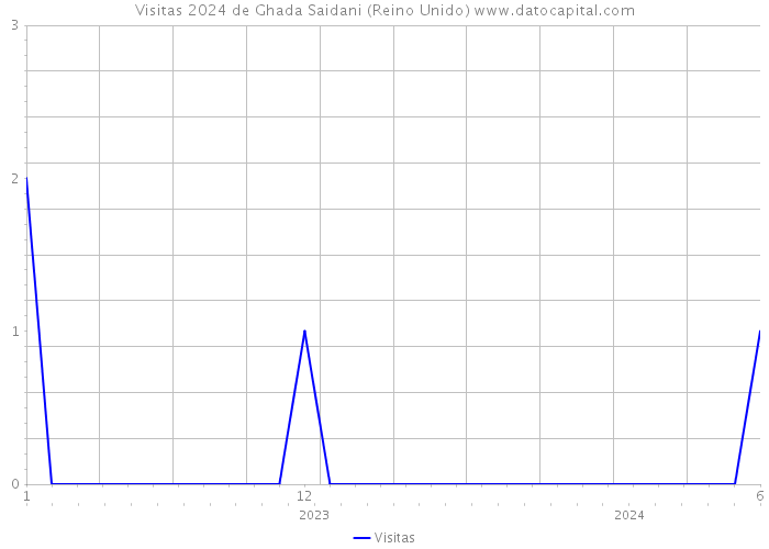 Visitas 2024 de Ghada Saidani (Reino Unido) 