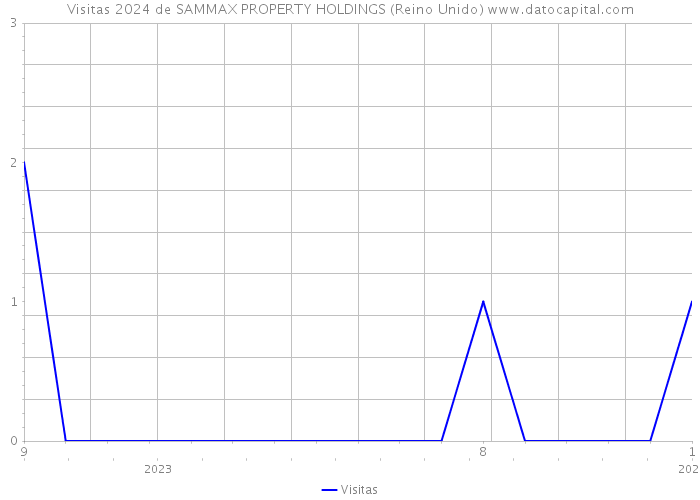 Visitas 2024 de SAMMAX PROPERTY HOLDINGS (Reino Unido) 