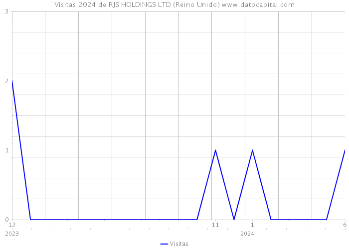 Visitas 2024 de RJS HOLDINGS LTD (Reino Unido) 