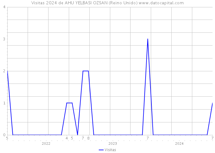 Visitas 2024 de AHU YELBASI OZSAN (Reino Unido) 