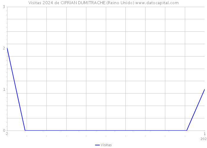 Visitas 2024 de CIPRIAN DUMITRACHE (Reino Unido) 