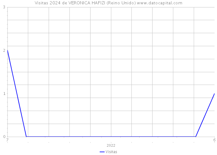 Visitas 2024 de VERONICA HAFIZI (Reino Unido) 