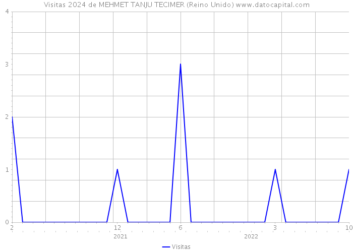 Visitas 2024 de MEHMET TANJU TECIMER (Reino Unido) 