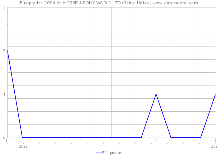 Búsquedas 2024 de HORSE & PONY WORLD LTD (Reino Unido) 