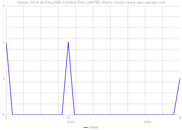 Visitas 2024 de PALLISER CONSULTING LIMITED (Reino Unido) 