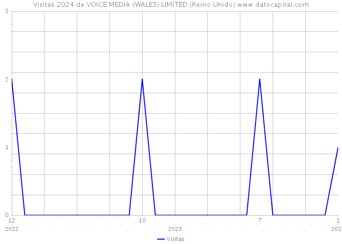 Visitas 2024 de VOICE MEDIA (WALES) LIMITED (Reino Unido) 