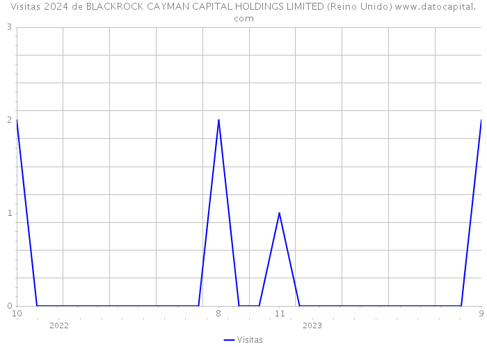 Visitas 2024 de BLACKROCK CAYMAN CAPITAL HOLDINGS LIMITED (Reino Unido) 