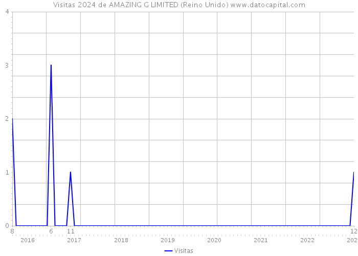 Visitas 2024 de AMAZING G LIMITED (Reino Unido) 