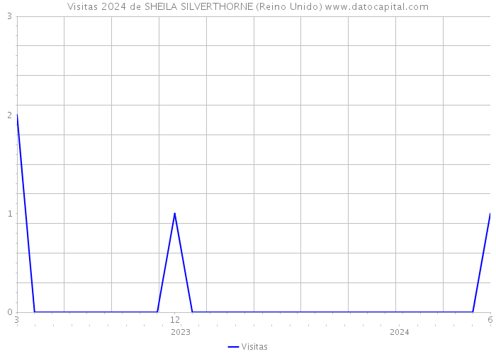 Visitas 2024 de SHEILA SILVERTHORNE (Reino Unido) 