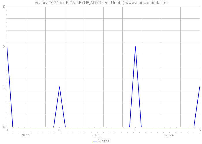 Visitas 2024 de RITA KEYNEJAD (Reino Unido) 