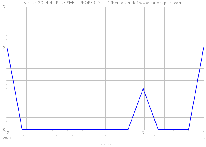 Visitas 2024 de BLUE SHELL PROPERTY LTD (Reino Unido) 