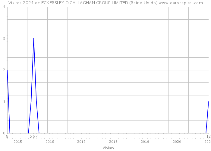 Visitas 2024 de ECKERSLEY O'CALLAGHAN GROUP LIMITED (Reino Unido) 