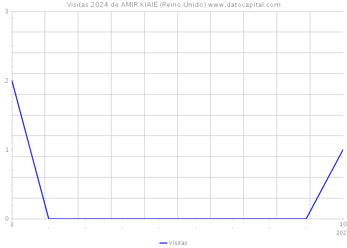 Visitas 2024 de AMIR KIAIE (Reino Unido) 