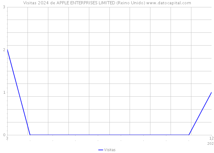 Visitas 2024 de APPLE ENTERPRISES LIMITED (Reino Unido) 