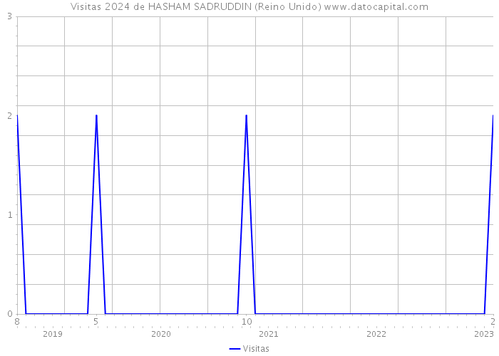 Visitas 2024 de HASHAM SADRUDDIN (Reino Unido) 