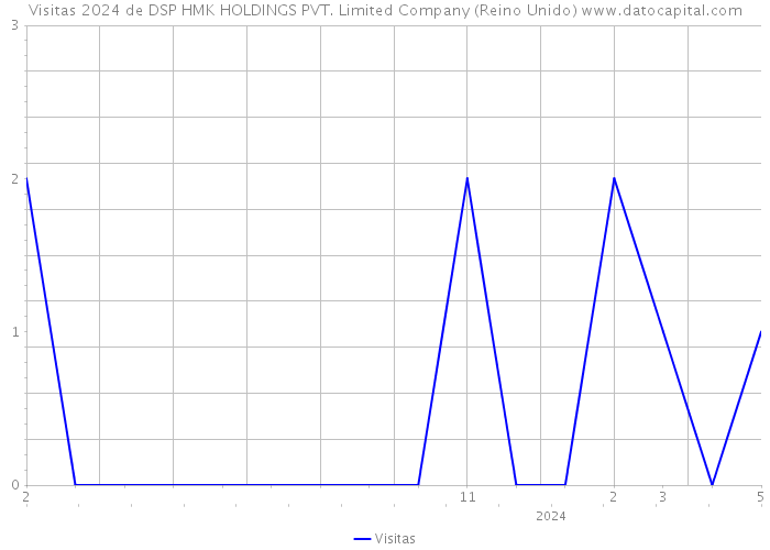 Visitas 2024 de DSP HMK HOLDINGS PVT. Limited Company (Reino Unido) 