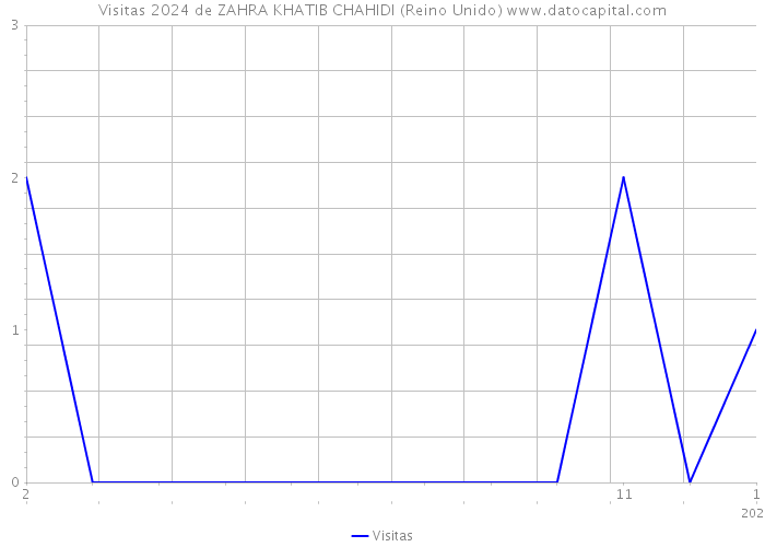 Visitas 2024 de ZAHRA KHATIB CHAHIDI (Reino Unido) 