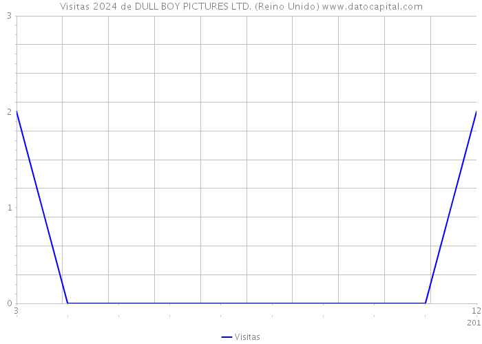 Visitas 2024 de DULL BOY PICTURES LTD. (Reino Unido) 