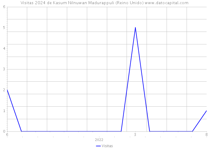 Visitas 2024 de Kasum Nilnuwan Madurappuli (Reino Unido) 