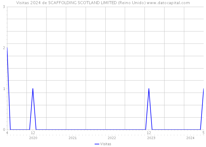 Visitas 2024 de SCAFFOLDING SCOTLAND LIMITED (Reino Unido) 