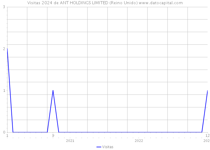 Visitas 2024 de ANT HOLDINGS LIMITED (Reino Unido) 