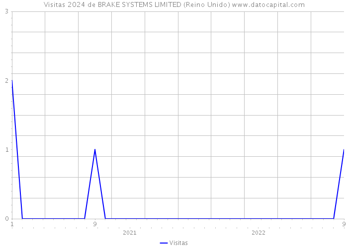Visitas 2024 de BRAKE SYSTEMS LIMITED (Reino Unido) 