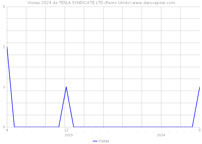 Visitas 2024 de TESLA SYNDICATE LTD (Reino Unido) 