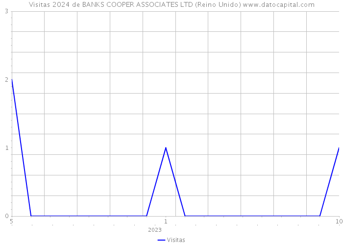 Visitas 2024 de BANKS COOPER ASSOCIATES LTD (Reino Unido) 