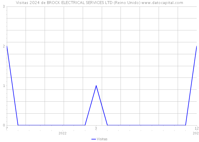 Visitas 2024 de BROCK ELECTRICAL SERVICES LTD (Reino Unido) 