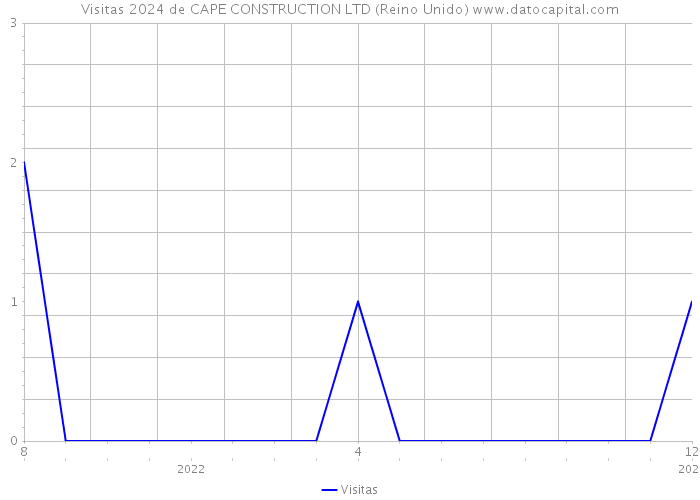Visitas 2024 de CAPE CONSTRUCTION LTD (Reino Unido) 