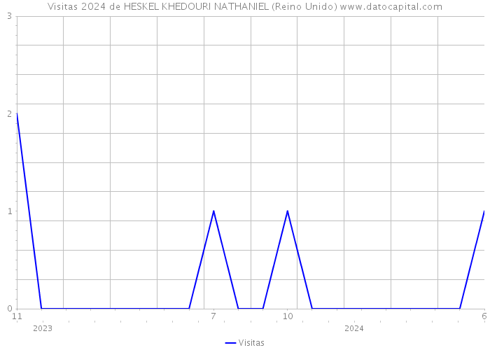 Visitas 2024 de HESKEL KHEDOURI NATHANIEL (Reino Unido) 