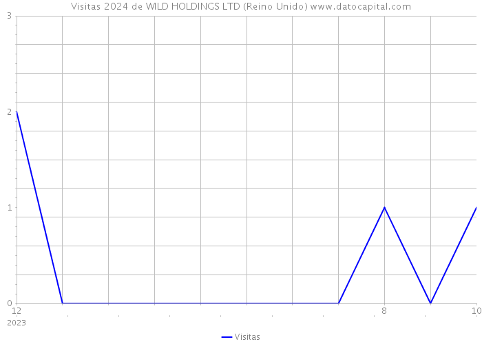 Visitas 2024 de WILD HOLDINGS LTD (Reino Unido) 