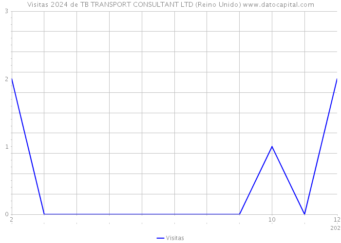 Visitas 2024 de TB TRANSPORT CONSULTANT LTD (Reino Unido) 