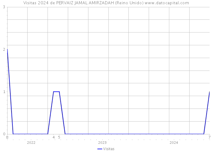 Visitas 2024 de PERVAIZ JAMAL AMIRZADAH (Reino Unido) 