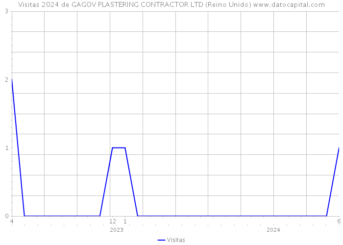 Visitas 2024 de GAGOV PLASTERING CONTRACTOR LTD (Reino Unido) 